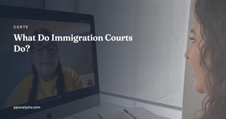 What Do Immigration Courts Do?